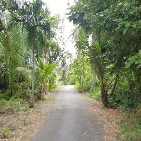 הו צ'י מין סיטי Ba Dat Homestay District 6 מראה חיצוני תמונה